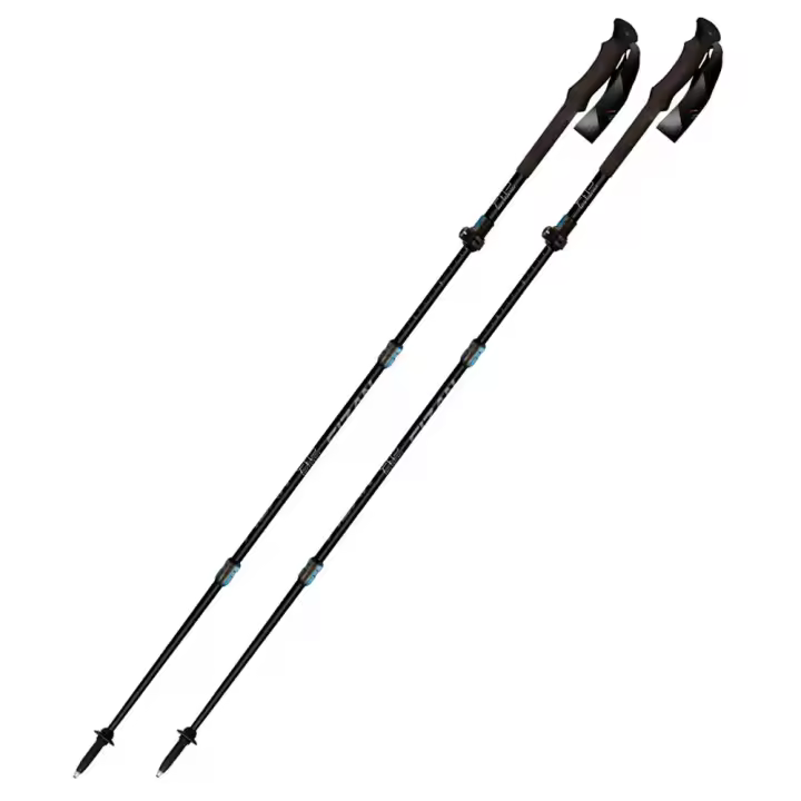 Material senderismo Bastones Fizan Bastones Rfp Plateado Unisex - 1