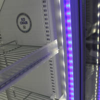 ORION91 Nevera Exclusiva REDBULL LED oficinas , talleres, comercios, bares, pubs 40x44x180cm Red bull - SpazioLuzio - details 0