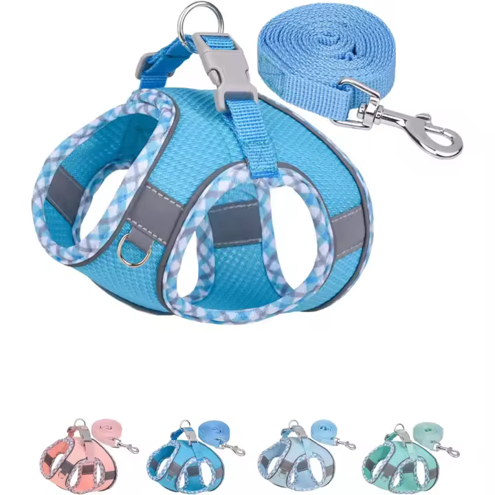 Arnés para perros pequeños y medianos que no tira, arnés y correa para cachorros, arnés para perros fácil de caminar (azul, S) - 1