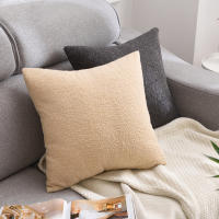 Funda De Cojín Decorativa De Peluche Teddy 45x45 Estilo Nórdico Suave Y Acogedor Para Sala De Estar Funda De Cojín De Tela Tejida Sin Patrón - details 2