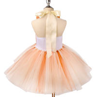 Vestido De Princesa Azul De Anime Para Niñas 80-150cm Disfraz De Cumpleaños Y Performance En Escenario Ropa De Cosplay De Bluey - details 6