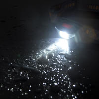 Lámpara De Cabeza Mini LED 3 Modos Impermeable Con Banda De Cabeza Para Batería AA Lámpara Frontal Torch Lanterna Para Camping Pesca Caza - details 7