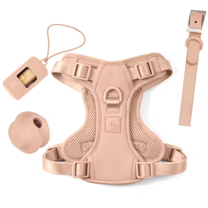 Juego de 5 Correas y arneses para Perros Macaroon, Talla única, rose color - 1