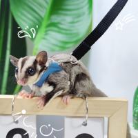 Juego De 4 Piezas Correa Y Arnes Ajustable Para Pequeños Animales Como Hamsters Sucres Y Ardillas Resistente Al Escape - details 1