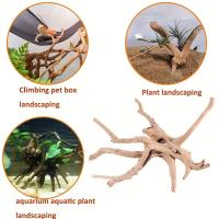 Decoraciones De Acuario De Madera De Araña 1/3pcs Paisajes Acuáticos Crear Lugar De Ocultación Natural Y Estimular La Actividad De Los Peces - details 3