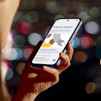SMARTPHONE - Google Pixel 9a, 256 GB, 8 GB RAM, 6.3" Actua pOLED, Google Tensor G4, 5100 mAh, Gemini integrado, Android 15 COLOR: Obsidiana - details 11