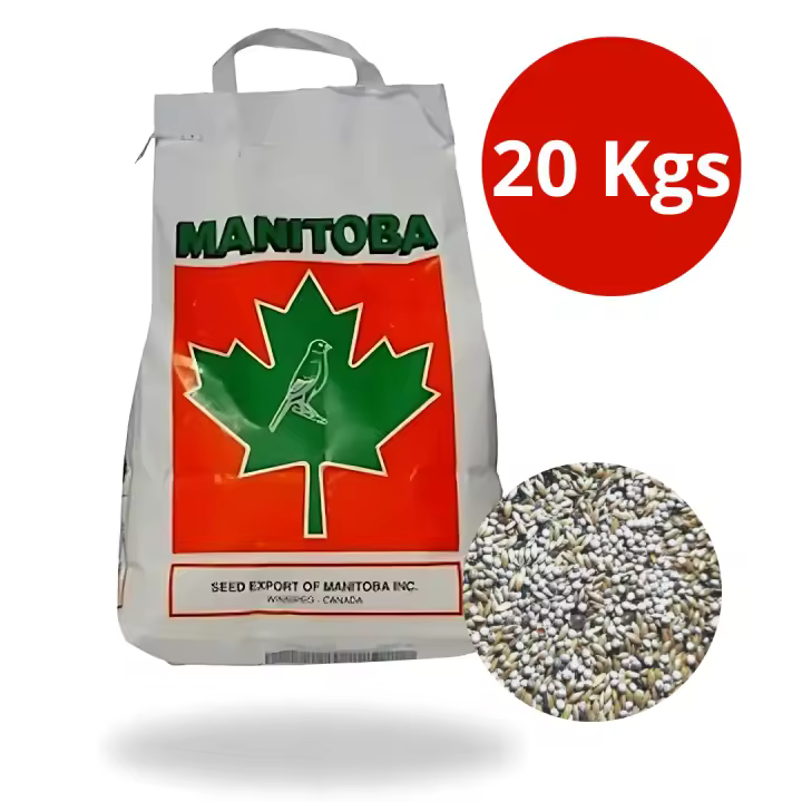 Manitoba Mixtura para Canarios T3 Platino 20 Kg - Semillas de Alpiste, Perilla, Negrillo, Linaza y Cañamón - 1