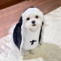 Disfraz De Gato Para Perro Pequeño Ropa De Fiesta Divertida Transpirable Para Todo El Año Accesorios Para Perros - details 8