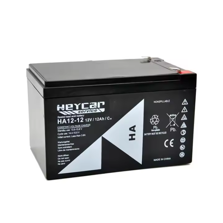 Batería Plomo Heycar HA12-12 12V 12Ah - 1