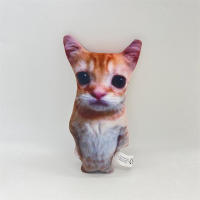 Muñeco De Peluche De Gato Lindo Wowwow Muñeco De Peluche De Gato Simulación Animal Relleno De Algodón PP Regalo De Cumpleaños Para Niños Coleccionable - details 0