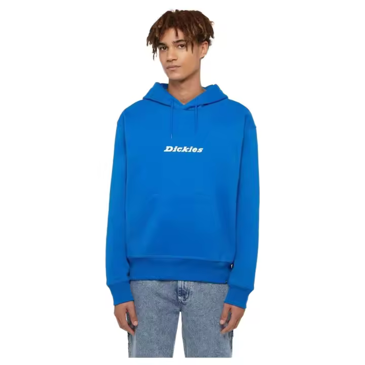 Sudadera Dickies modelo Enterprise Hoodie - 1