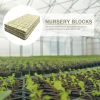 Cubes De Cultivo Hidroponico De 25x25x25mm 50pcs Medio De Cultivo Stonewool Substrato Sin Tierra Bloque De Semillero De Lana De Piedra - details 7