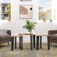 HOMCOM 3 Mesitas de Café Mesa de Centro Minimalista Patas de Acero con Funda de Plástico Mesa Nido para Salón Sofá 56x54.2x45.4cm - details 1