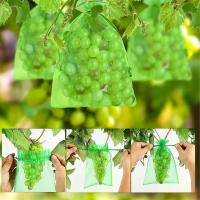 Malla De Protección Para Frutas Y Verduras 30Pcs Juego De Bolsas De Cultivo De Plantas Con Red Antipájaros Para Jardín Agricultura Tamaño 10x15CM 20x30CM Colores Blanco Verde Fruta Oscuro Verde - details 7