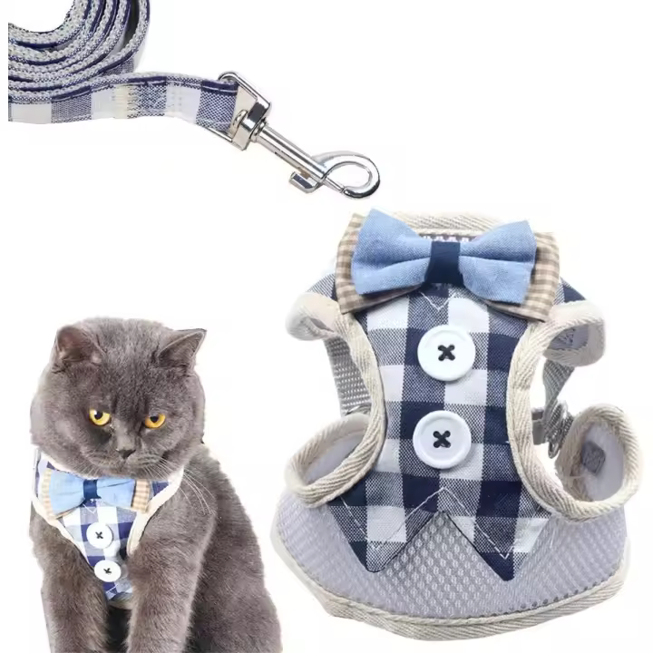Arnés para Gatos y gatitos con Correa ajustable, para gatitos Chaleco, chaqueta para pasear, Correa para Gatos y Perros (M) - 1
