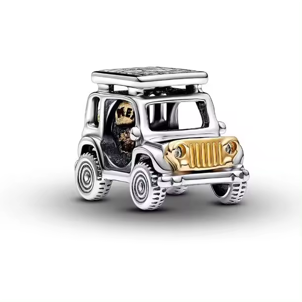 PANDORA Momento, Colgante de Transporte, Viene con el embalaje original. - 1
