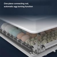 220V 24/36 Huevos Incubadora Brooder Pájaro Codorniz Pollito Huevos Granja Incubadora Automática Granja Herramientas Incubación Aves Turner - details 4