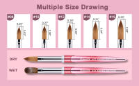 Pincel De Acrílico Kolinsky Sable Para Manicura Y Dibujo En Uv Gel Carving Pincel Crimpado Para Polvo Líquido Herramientas De Arte Hot Pink - details 10