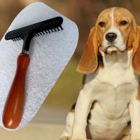 Raspe Para Mascotas De Uso Doméstico Herramienta De Desplumado Para Perros Y Gatos Con Pelo Largo Y Corto Rascador De Aliento - details 0