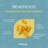 Vittalogy Condroprotector para Perros 120 Cápsulas ✅ Entrega 24/72h - details 1