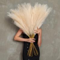 90/120cm Pampas Artificial En Broche Flor Artificial Para Decoración De Habitaciones Jardín Boda Exterior Simulación De Planta De Rama - details 2