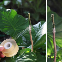 Cinta De Reparación De Jardín Parafilm Barriera De Humedad Para Plantas Arbolado De Fruta Y Semillero FATCOOL Pruner Bypass Plástico Recubierto - details 5