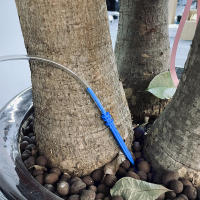 Kit De Riego Automático Para Jardín Con Saco De Agua Y Regadores Herramientas De Irrigación Para Plantas Laziness Drip Arrow - details 4