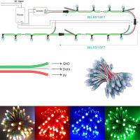 Módulo LED WS2811 Addressable 12mm DC5V 12V Para Exhibición De Letras Cadena De Luces Digitales Impermeables De 50 Piezas - details 3