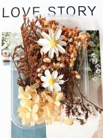 Paquete De Materiales Para Manualidades Con Flores Secas DIY Artesanía Artificial Para Decoración De Bodas Y Fiestas Cursos De Arte Flor Eterna - details 8