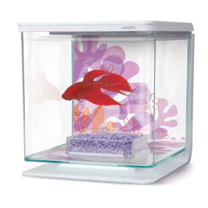 Marina Betta Kit - Flower - 1