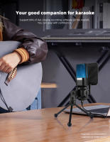 Micrófono Profesional Para Juegos De Computadora Condensador USB Para Streaming En Vivo Podcast Estudio Micrófono Karaoke Kit De Microfonos Para PC Y Portátil - details 20