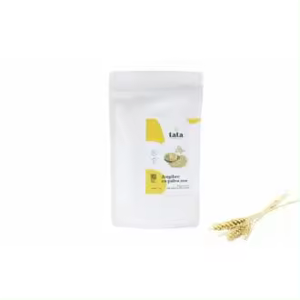 JENGIBRE EN POLVO ECO 100gr - 1