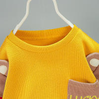 Ropa Infantil Bebé Niñas Primavera Otoño Conjunto De 2 Piezas Camiseta Pantalones Algodón Casual Unisex Talla Pequeña - details 7