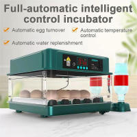 Incubadora Automática Mini con Volteo de Huevos Control de Temperatura y Riego HidroIónico Caja Extraíble Capacidad para 10 15 Huevos de Gallina Incuba Patos Gansos Palomas Codornices Voltaje Dual 12V/220V Incubadora Inteligente - details 0