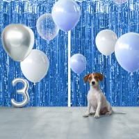 Juego De 1 Pieza De Cortina De Foil Dorado De 9.8 Pies Para Fondo De Fotografía De Cumpleaños Decoración De Fiesta Streamers De Aluminio - details 18