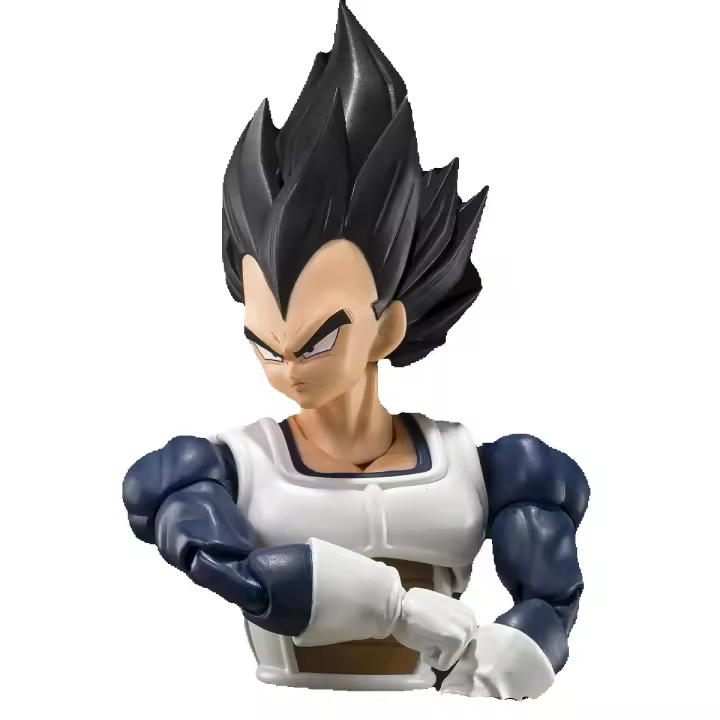 SH FIGUARTS DRAGON BALL Z VEGETA OLD BATTLE CLOTHES - 1