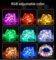 Luces De Navidad Faeirys LED Cadena Bluetooth WS2812B RGBIC Direccional Música Garlanda Decoración De Fiesta Boda USB DC5V Control Remoto Y APP - details 4