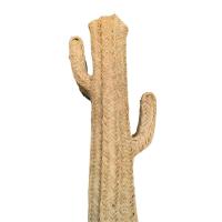 Cactus Esparto Natural Medidas 62 a 165 cm - details 0