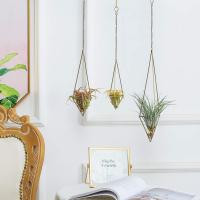 De 3 colgantes soporte de planta de aire para Tillandsia, soporte de plantas de aire, Himmeli para suspensión de Airplant Tillandsia, pantalla de maceta geométrica con, bronce - details 0