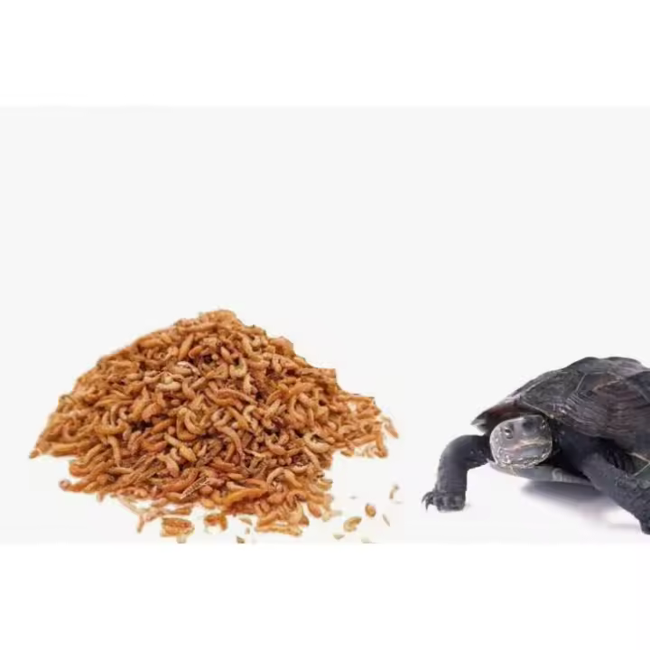 Manitoba - Thalassa Gambas para Tortugas - 110 Gr - Alimentación Natural - Minerales Esenciales - 1
