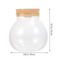 Botella De Terrario De Vidrio Borosilicato Ecológico Con Tapa Y Moss Para DIY Mini Acuario Landscape Blanco Sin LED - details 2