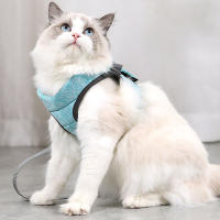 Almohadilla De Gato Para Caminar Prueba De Fuga Suave Ajustable Correa De Perro Y Collar Para Mascotas Ligero Y Resistente - details 9