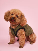 Chaqueta De Invierno Para Perro Acolchada Y Impermeable Con Cuello Alto Ropa De Invierno Para Perro Abrazadera De Nieve Traje Navideño Para Mascotas - details 12