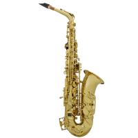 Mandíbula De Saxofón Alto En ABS Y Metal Negro Accesorio Profesional Para Instrumento De Brass Reemplazo De Partes Para Saxofón - details 9
