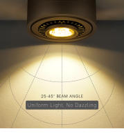 Spotlight LED Rotatable Surface Mounted Para Techo Luz De Pared 5W 7W 10W 110V220V Decoración Interior Para Hogar Y Habitación - details 5