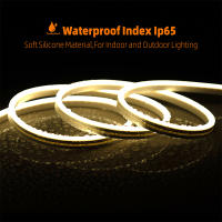 Tira De Lámpara Neón LED Impermeable Dimmable DC12V/24V Con Enchufe EU Para Iluminación Interior Y Exterior 1M 2M 3M 5M 10M - details 3
