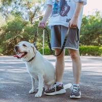 Correa Táctica Para Perros De Medio Y Pequeño Tamaño Con Control De Doble Mano Y Línea Elástica Ajustable Con Desenganche Rápido Para Entrenamiento Y Salidas Al Aire Libre - details 8