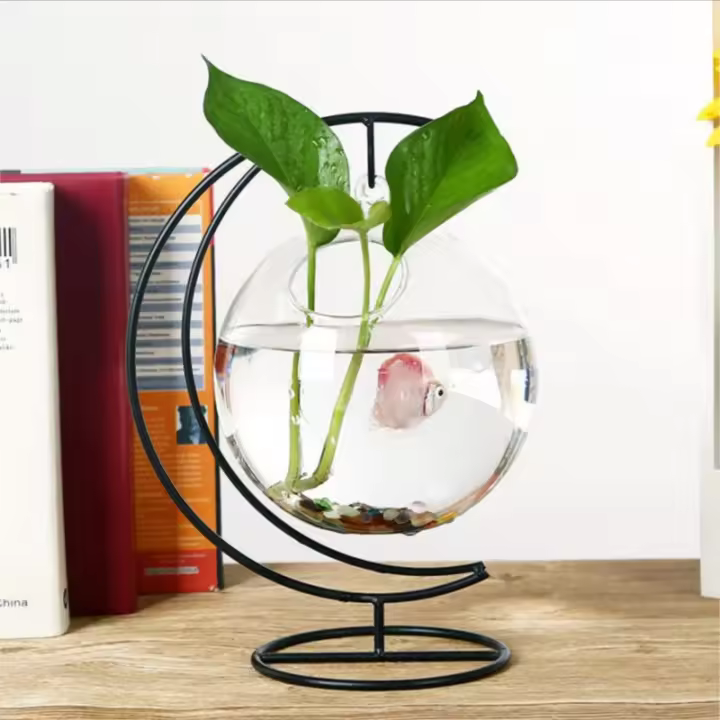 Pequeño Acuario De Vidrio Transparente Para Golondrinas Con Sistema De Agricultura En Hangar Vaso De Vidrio Colgante Creativo Hydroponic - 1