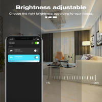 Tira De Luz LED COB Zigbee 12V Flexible Y Dimmable 5m 10m 3000K 4000K 6500K Calor Blanco Para Decoración De Habitaciones Compatible Con Alexa Asistente Doméstico - details 3