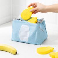 Bolsas de Hielo para loncheras (juego de 5) - Neveras portátiles para niños y niños-Bolsas técnicas reutilizables - Piña - details 3